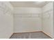 Walk-in closet with wire shelving and carpeted floor at 5780 Raleigh Cir, Castle Rock, CO 80104