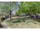 Beautiful back yard with trees, healthy grass, and a landscaped perimeter with flowers and bushes. A peaceful outdoor space at 23500 Bent Oaks Way, Parker, CO 80138