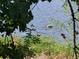 Tranquil lake view showcasing wildlife amid lush vegetation and clear blue water at 6862 Independence Ct, Arvada, CO 80004