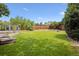 Expansive backyard with lush green lawn, bordered by a wood fence and mature trees offering privacy at 8174 Dudley Cir, Arvada, CO 80005