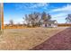 Large backyard featuring a wooden fence, grass lawn, and mature trees, offering ample outdoor space at 801 S Leyden St, Denver, CO 80224