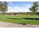 Expansive green park with trees, lush grass, and a charming covered pergola at 9424 Ridgeline Blvd # I, Highlands Ranch, CO 80129