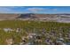 Community overview with houses surrounded by pine trees at 590 Cumberland Rd, Larkspur, CO 80118
