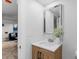 Modern bathroom with a wood vanity, vessel sink, mirror, and decorative plant at 3912 S Acoma St, Englewood, CO 80110