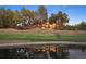 Picturesque home reflected in a pond, set on a lush green lawn with mature trees at 67 Indigo Way, Castle Rock, CO 80108