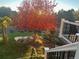 Scenic backyard view with colorful tree and landscaping at 1330 Conifer Pl, Elizabeth, CO 80107