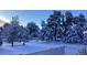 Winter wonderland backyard scene with snow-covered trees and a peaceful ambiance at 1330 Conifer Pl, Elizabeth, CO 80107