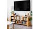 Comfortable living room showcasing a TV, plants, and a wooden media console at 9542 Cherry St, Thornton, CO 80229