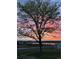 Scenic view of a tree silhouetted against a stunning sunset over a tranquil lake and distant mountains at 742 Mockingbird Ln, Brighton, CO 80601