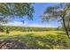 Lush green backyard featuring mature trees and landscaping, offering privacy at 34 S Raleigh St, Denver, CO 80219