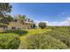 Spacious backyard with mature trees and greenery, offering privacy and space at 34 S Raleigh St, Denver, CO 80219