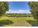 Expansive backyard showcasing lush green space with mature trees offering a peaceful outdoor setting at 34 S Raleigh St, Denver, CO 80219