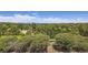 Spacious backyard landscape showing green lawn with mature trees and clear skies above at 34 S Raleigh St, Denver, CO 80219