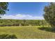 Picturesque backyard features open green space with views of trees and clear blue skies above at 34 S Raleigh St, Denver, CO 80219