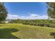 This backyard offers a large green lawn surrounded by trees, complemented by clear blue skies at 34 S Raleigh St, Denver, CO 80219