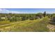 Picturesque view of a grassy field and neighborhood with mature trees at 34 S Raleigh St, Denver, CO 80219
