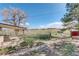 The expansive backyard shows the porch, a view of the sheds, lawn, fencing, and natural landscaping at 2166 Appaloosa Trl, Elizabeth, CO 80107