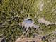 Birds-eye view of the beautiful home surrounded by dense forest and a winding driveway at 3581 Gap Rd, Golden, CO 80403