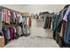 Spacious walk-in closet featuring custom shelving and ample storage space for clothes and accessories at 5737 Amarosa Dr, Parker, CO 80134