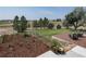 Lush backyard featuring a mulch garden, well maintained lawn, treed fence line, and deck with patio furniture at 1143 Belgian Trl, Elizabeth, CO 80107