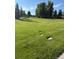 Expansive green space dotted with trees and landscaping providing a serene and inviting environment at 14247 W 84Th Cir # A, Arvada, CO 80005