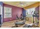 Bright home gym with ceiling fan, large windows, and an assortment of exercise equipment at 3873 Fairbrook Pt, Highlands Ranch, CO 80130