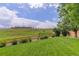 Well-manicured backyard with lush green grass, landscape fence, and view of neighborhood in the background at 10609 Chadsworth Ln, Highlands Ranch, CO 80126