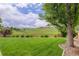 Well-maintained backyard with green lawn, framed by a wooden fence and mature tree, offering a tranquil setting at 10609 Chadsworth Ln, Highlands Ranch, CO 80126