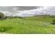 Beautiful view of open space filled with lush greenery and distant neighborhood buildings under a cloudy sky at 10609 Chadsworth Ln, Highlands Ranch, CO 80126