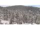 A snowy landscape of trees and homes on a mountain in a peaceful setting at 795 Pine Brook Rd, Boulder, CO 80304