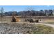 Community playground featuring a yellow slide and park benches in a community with sidewalks and nearby homes at 1055 Snowberry Ave, Elizabeth, CO 80107