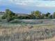 Deer grazing in a tranquil field surrounded by trees, offering a serene natural view at 1055 Snowberry Ave, Elizabeth, CO 80107