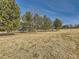 Picturesque community park with mature trees, offering a serene environment for recreation and relaxation at 6444 Silver Mesa Dr # A, Highlands Ranch, CO 80130