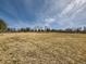 Vast open space with natural grasses and scattered trees, providing a tranquil setting for outdoor activities at 6444 Silver Mesa Dr # A, Highlands Ranch, CO 80130