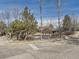 Neighborhood pool surrounded by fencing and greenery to provide privacy at 6444 Silver Mesa Dr # A, Highlands Ranch, CO 80130