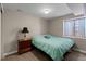 This bedroom features carpet floors and a small window, with decorative pillows on the bed at 5301 Clovervale Cir, Highlands Ranch, CO 80130