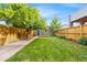 Nice backyard featuring a privacy fence, green grass, and mature trees providing shade at 1832 W 36Th Ave, Denver, CO 80211