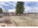 Picture of the backyard with a large green tree in the center and a wooden fence at 9315 E Aspen Hill Ln, Lone Tree, CO 80124