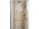 Tiled shower with grab bars for support at 1200 N Humboldt St # 1204, Denver, CO 80218