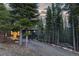 Scenic side exterior of a home surrounded by lush trees and an inviting driveway at 236 Harris Dr, Idaho Springs, CO 80452