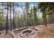 Scenic firepit area surrounded by trees at 236 Harris Dr, Idaho Springs, CO 80452