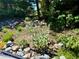 Close up view of the landscaping with native plants and rock features at 12705 Kalamath Ct, Westminster, CO 80234