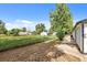 View of the backyard with a chain link fence and grassy area at 5325 Allison St, Arvada, CO 80002