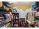 Organized storage room with shelving, various containers, and a painted mountain mural at 3130 N Race St, Denver, CO 80205