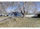 Exterior view of a blue house with a large tree in the front yard at 4260 Newland St, Wheat Ridge, CO 80033
