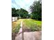 Large backyard with abundant grass and mature trees at 1364 Iola St, Aurora, CO 80010