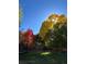 Secluded backyard featuring mature trees and a trampoline at 4449 S Xavier St, Denver, CO 80236