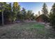 Beautiful backyard with mature trees, a separate shop, and plenty of room for outdoor activities and relaxation at 44 Linn Ln, Golden, CO 80403