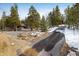 Scenic driveway leading to a home surrounded by beautiful trees and landscaped areas at 44 Linn Ln, Golden, CO 80403