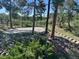 Beautiful backyard featuring a patio area, a wooden fence, and lush landscaping, perfect for outdoor relaxation at 19640 Four Winds Way, Monument, CO 80132